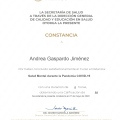 Ampliar imagen: certificate 6