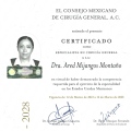 Ampliar imagen: certificate 2