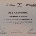 Ampliar imagen: certificate 4