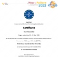 Ampliar imagen: certificate 2