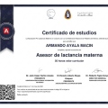 Ampliar imagen: certificate 1