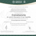 Ampliar imagen: certificate 6