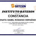 Ampliar imagen: certificate 3