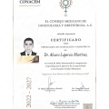 Ampliar imagen: certificate 8