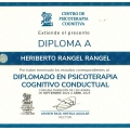 Ampliar imagen: certificate 10