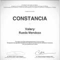 Ampliar imagen: certificate 6