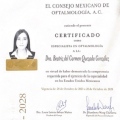 Ampliar imagen: certificate 3