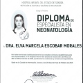 Ampliar imagen: certificate 5