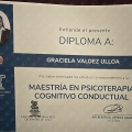 Ampliar imagen: certificate 2