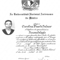 Ampliar imagen: certificate 3