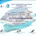 Ampliar imagen: certificate 11