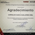 Ampliar imagen: certificate 5