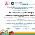 Ampliar imagen: certificate 1