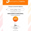Ampliar imagen: certificate 12