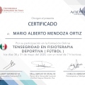 Ampliar imagen: certificate 9