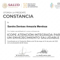 Ampliar imagen: certificate 8