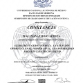 Ampliar imagen: certificate 3