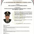 Ampliar imagen: certificate 3