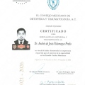 Ampliar imagen: certificate 4