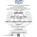 Ampliar imagen: certificate 3