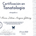 Ampliar imagen: certificate 1