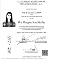 Ampliar imagen: certificate 2