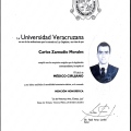 Ampliar imagen: certificate 5