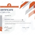 Ampliar imagen: certificate 4