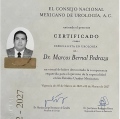 Ampliar imagen: certificate 1