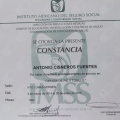Ampliar imagen: certificate 8