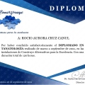 Ampliar imagen: certificate 1