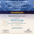 Ampliar imagen: certificate 4
