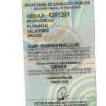 Ampliar imagen: certificate 8