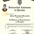 Ampliar imagen: certificate 2