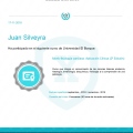 Ampliar imagen: certificate 17