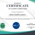 Ampliar imagen: certificate 7