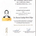 Ampliar imagen: certificate 1