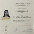 Ampliar imagen: certificate 2