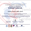 Ampliar imagen: certificate 2