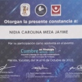 Ampliar imagen: certificate 3