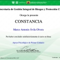 Ampliar imagen: certificate 6