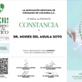 Ampliar imagen: certificate 3