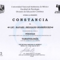 Ampliar imagen: certificate 11