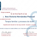 Ampliar imagen: certificate 6