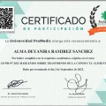 Ampliar imagen: certificate 5