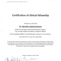 Ampliar imagen: certificate 11