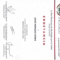 Ampliar imagen: certificate 17