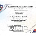 Ampliar imagen: certificate 11