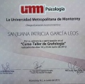 Ampliar imagen: certificate 2