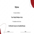 Ampliar imagen: certificate 1